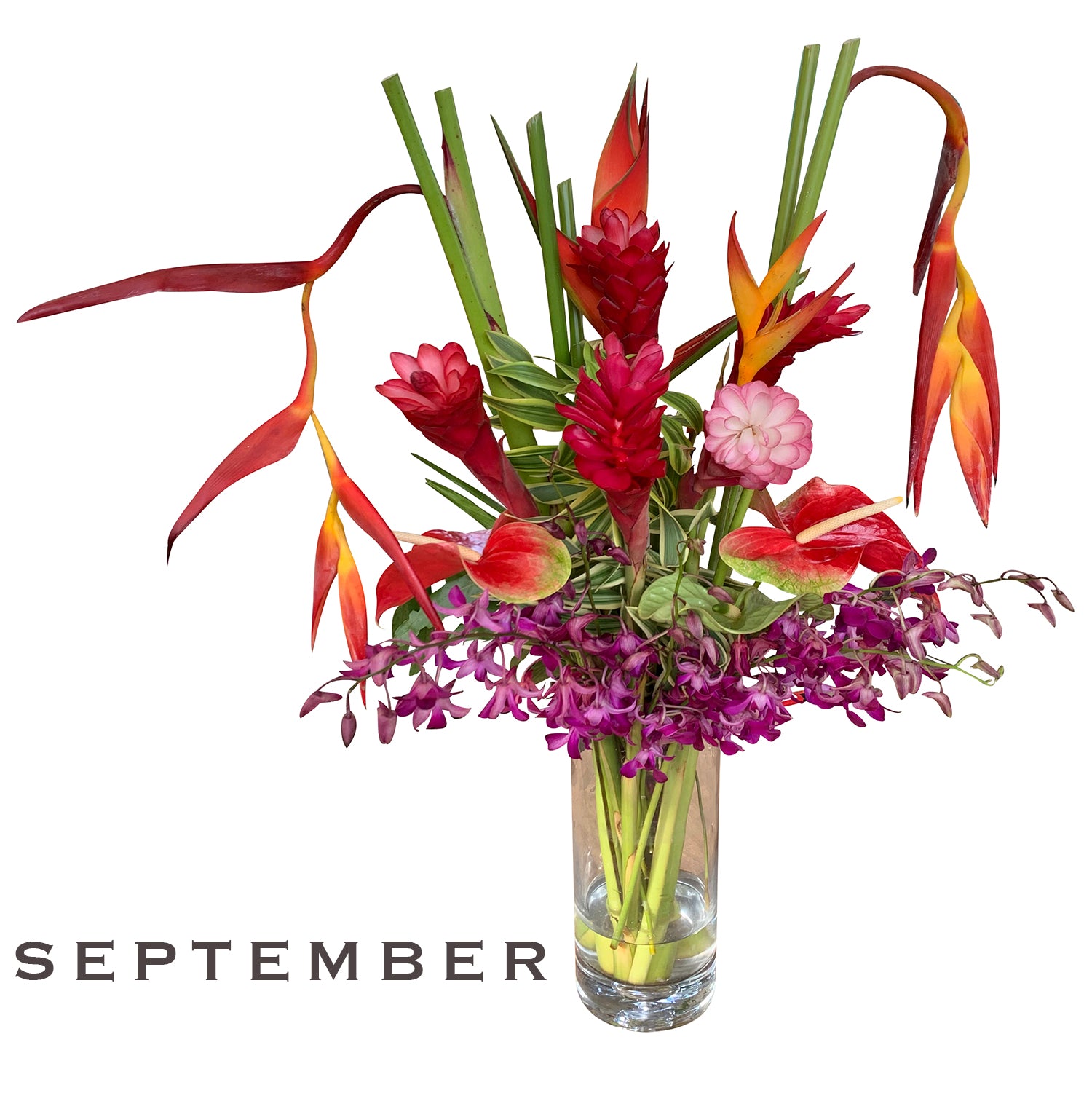 Monthly Flower Membership DELUXE - BIG Savings!