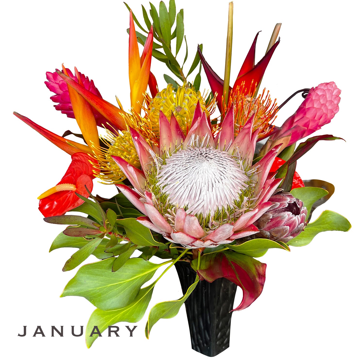 Monthly Flower Membership 12 Stems plus foliage - BIG Savings!